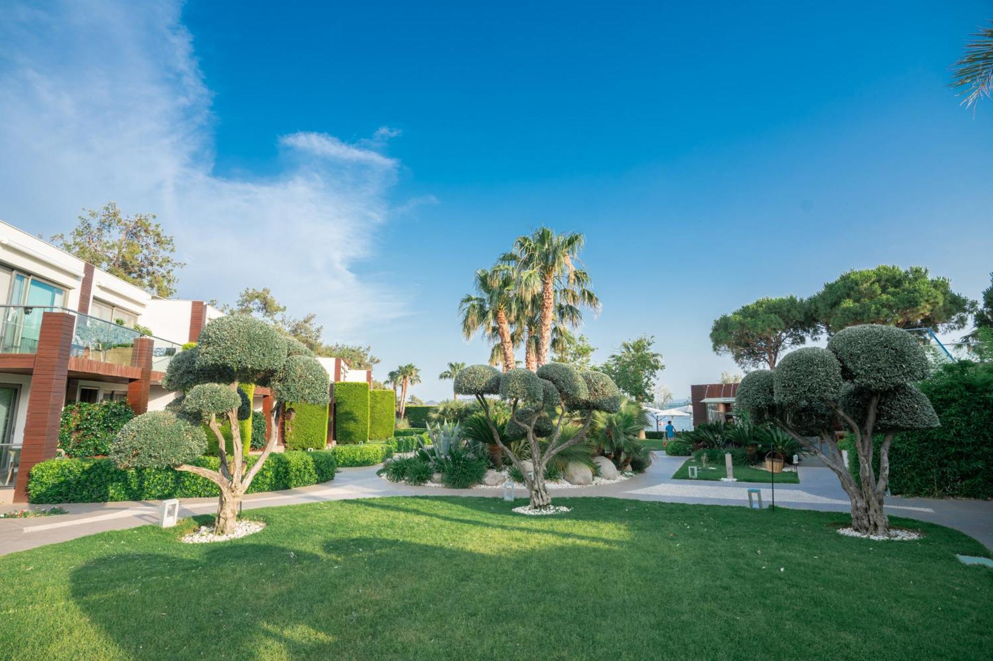 Ortunc Hotel - Cunda Island (Adults Only) ไอวาลิค ภายนอก รูปภาพ