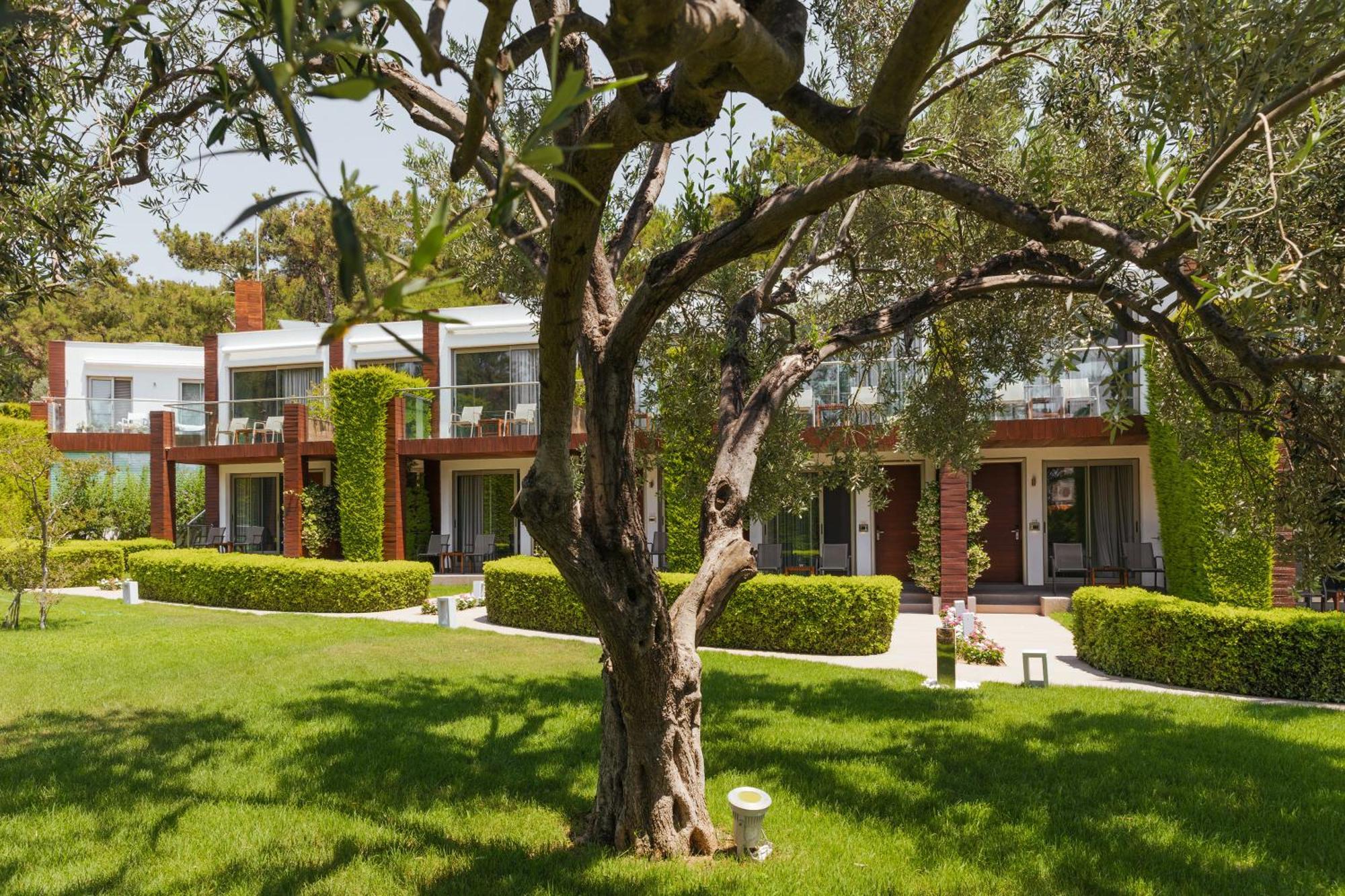 Ortunc Hotel - Cunda Island (Adults Only) ไอวาลิค ภายนอก รูปภาพ